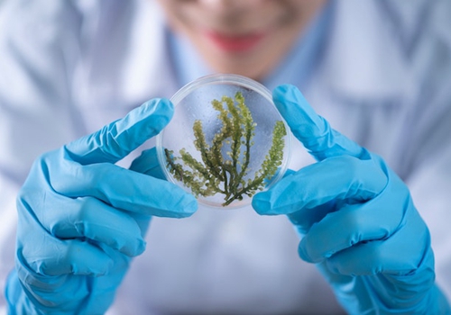 民政部、騰訊公益慈善基金會啟動“提升全國農村敬老院健康守護能力建設”項目